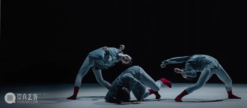 热售中|从爱情纠葛到物理概念,谢欣舞蹈剧场新锐新作《四相》 博文精选 国舞剧场 崇真艺客